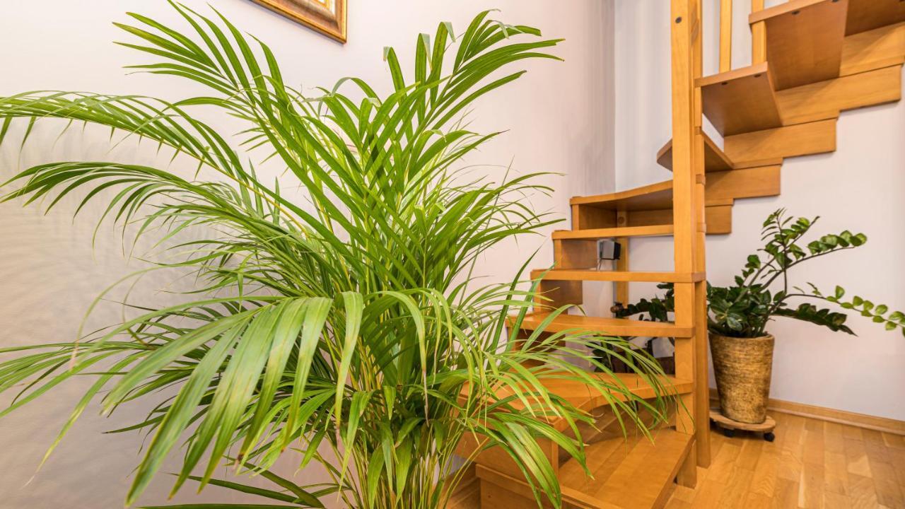 Maya'S Flats & Resorts - Old Town Dluga 72 Maisonette غدانسك المظهر الخارجي الصورة